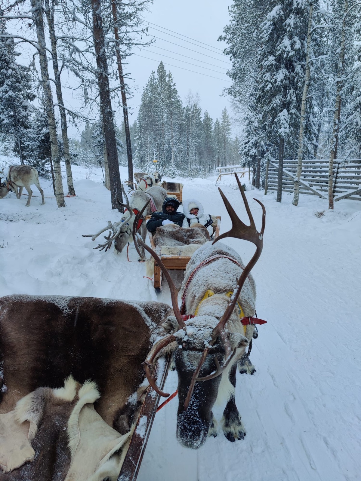Trekking Trails Travels in Finland 3