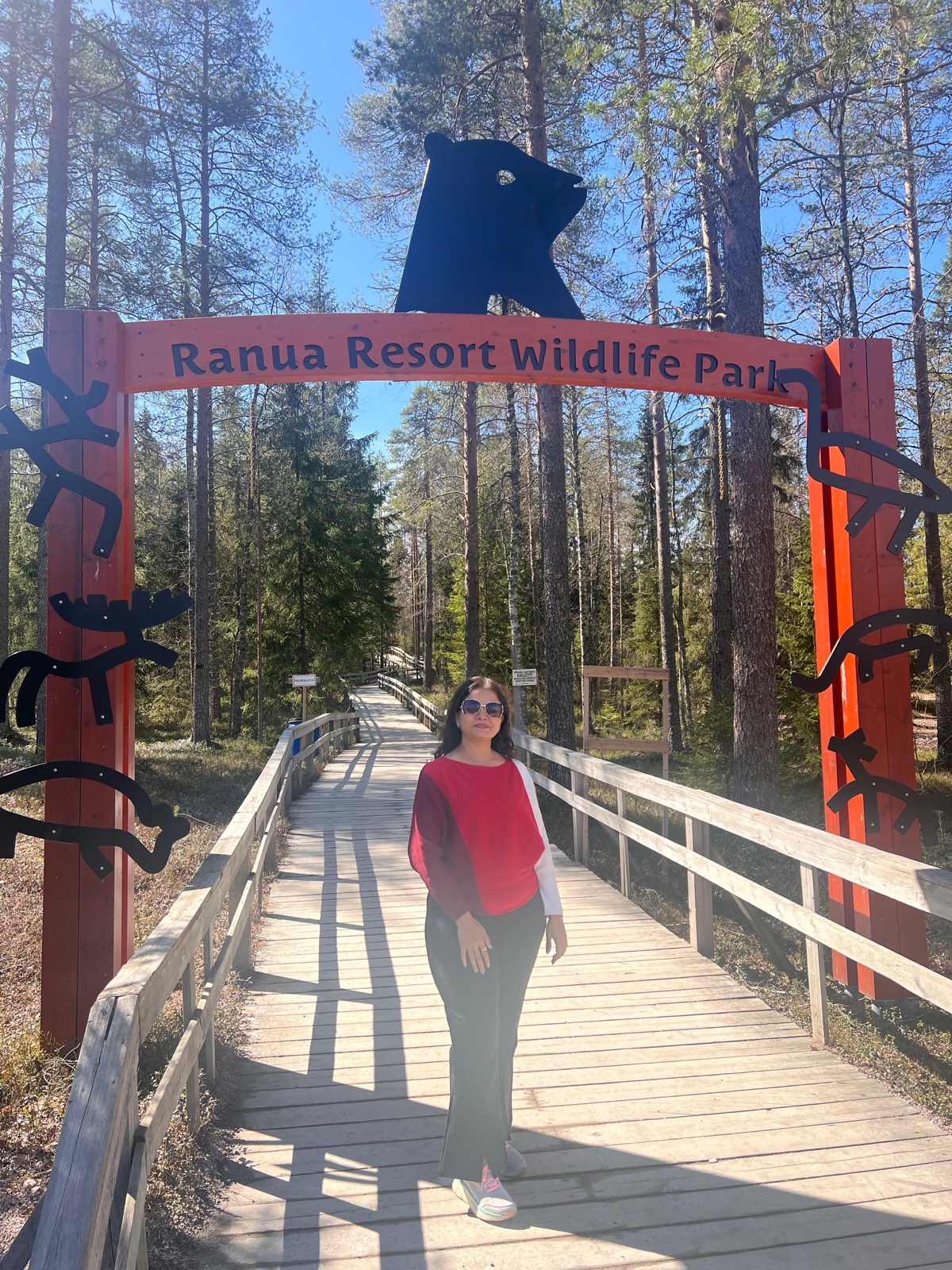 Northern Lights tour experience in Finnish Lapland — traveller photo 8