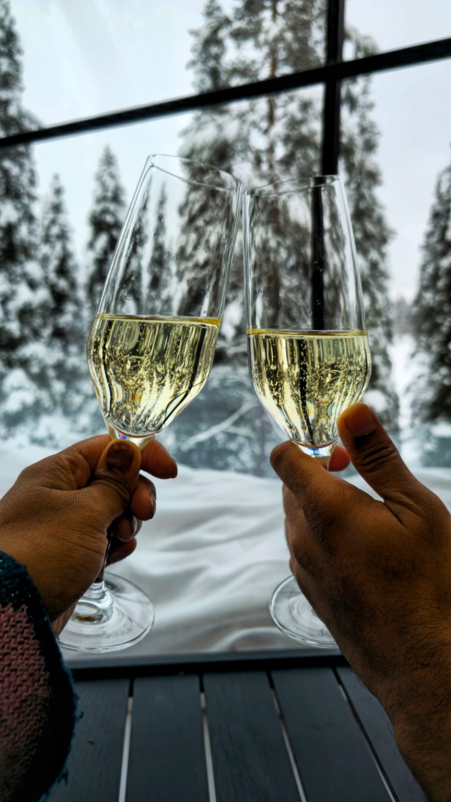 Northern Lights tour experience in Finnish Lapland — traveller photo 13