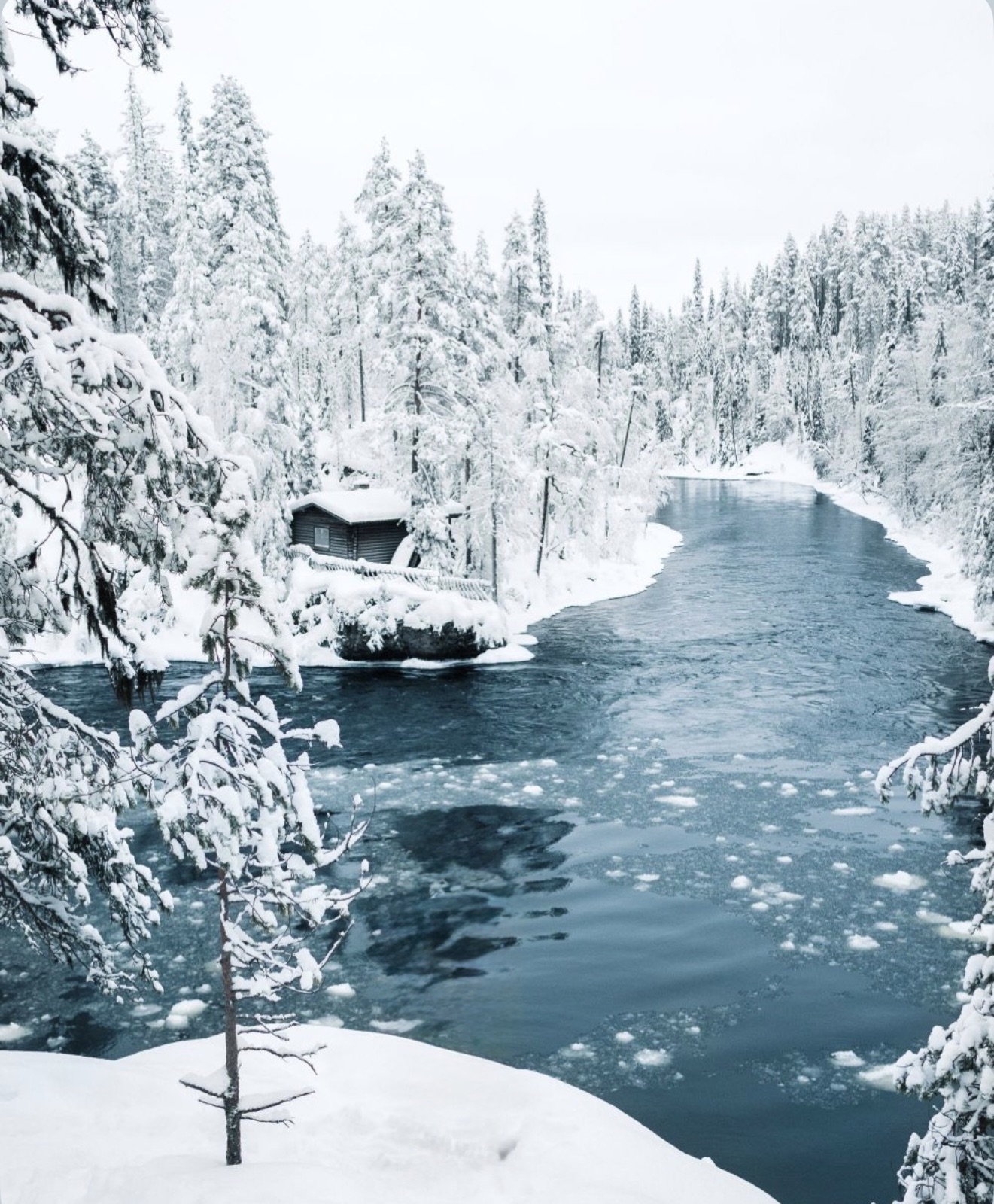Northern Lights tour experience in Finnish Lapland — traveller photo 19