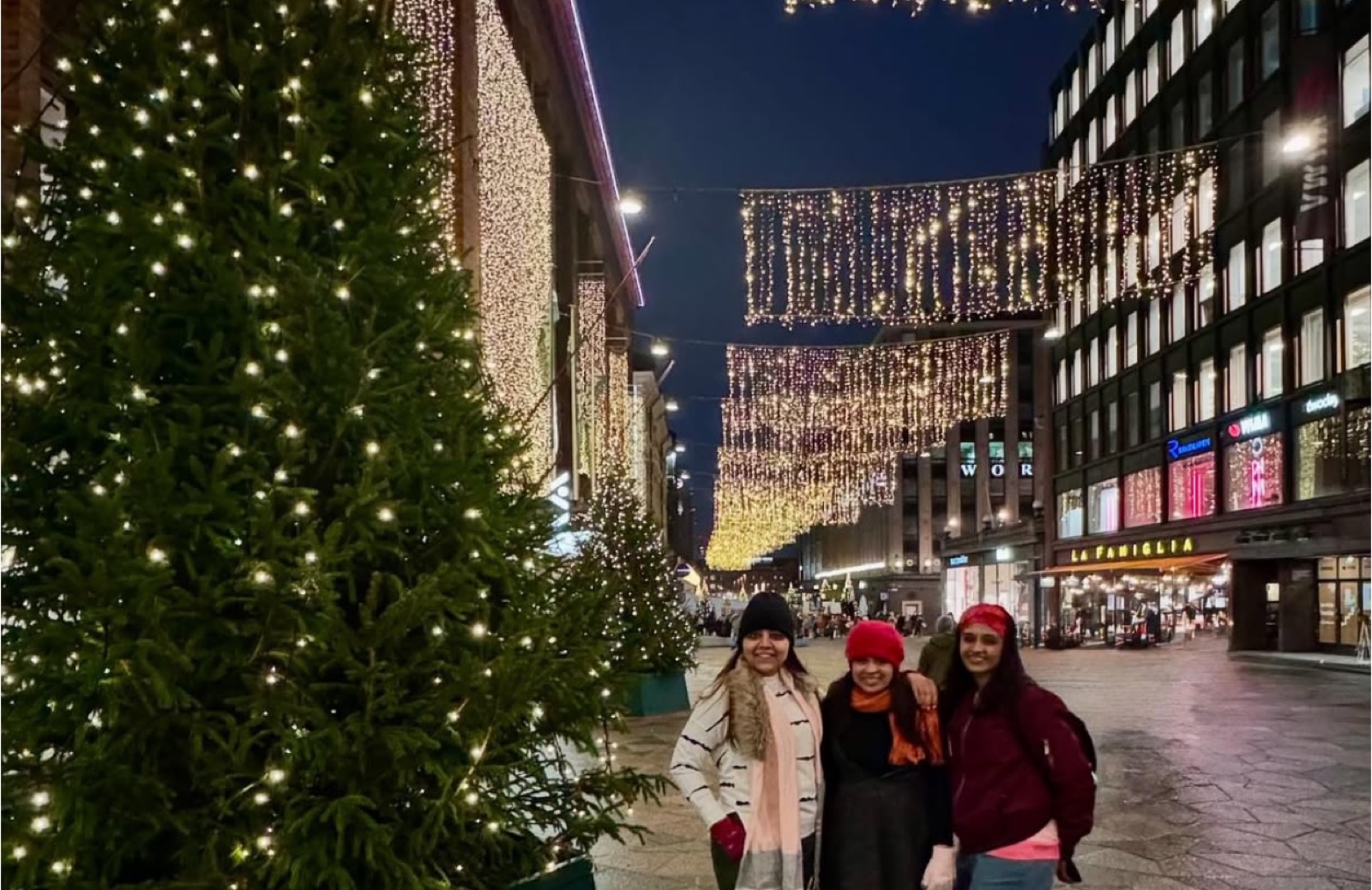 Northern Lights tour experience in Finnish Lapland — traveller photo 21