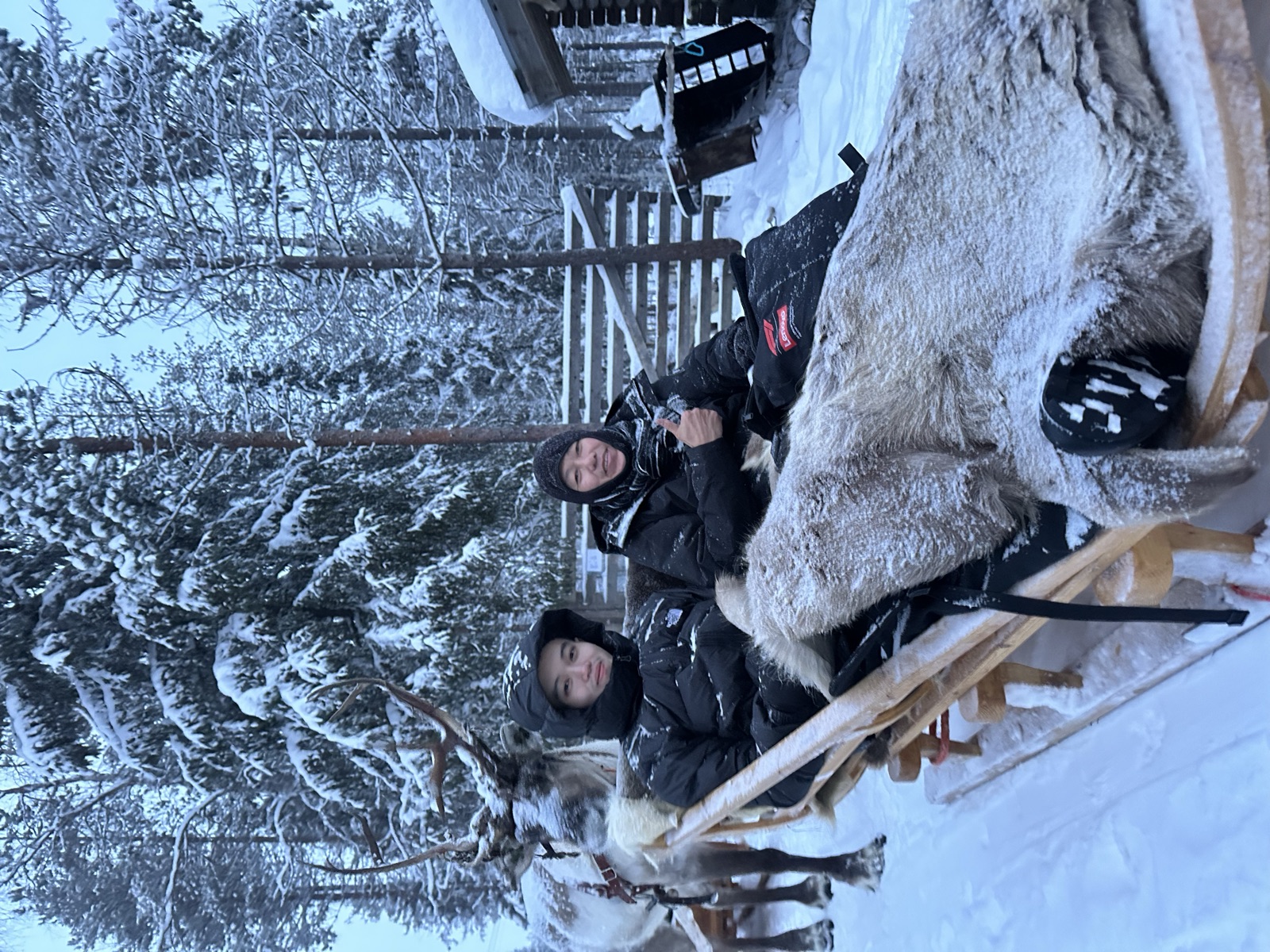 Northern Lights tour experience in Finnish Lapland — traveller photo 26
