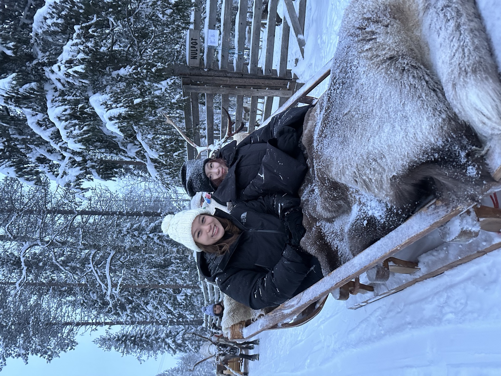 Northern Lights tour experience in Finnish Lapland — traveller photo 28
