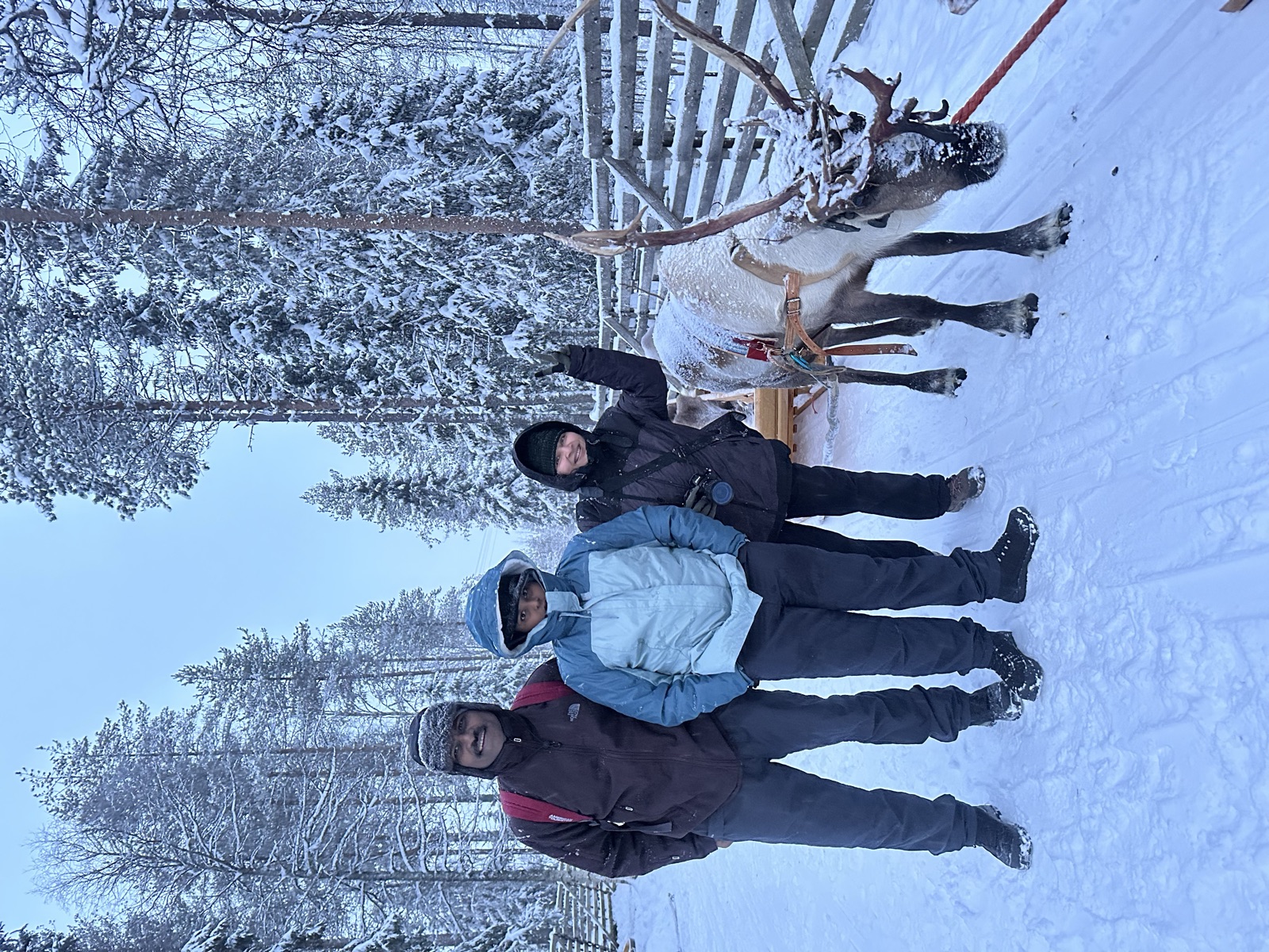 Northern Lights tour experience in Finnish Lapland — traveller photo 29
