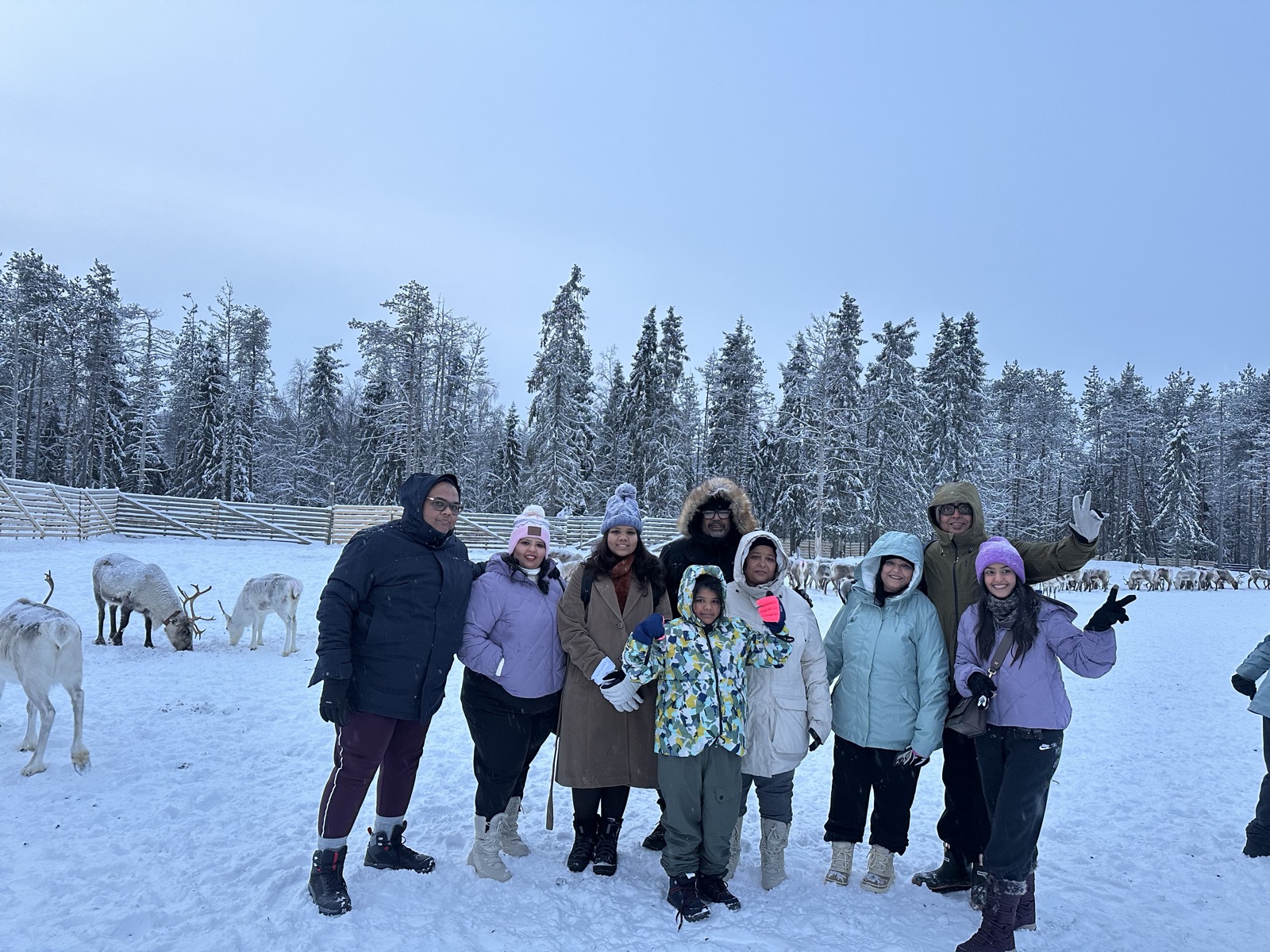 Northern Lights tour experience in Finnish Lapland — traveller photo 31