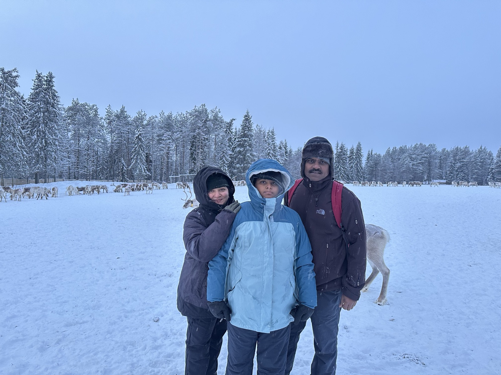 Northern Lights tour experience in Finnish Lapland — traveller photo 32