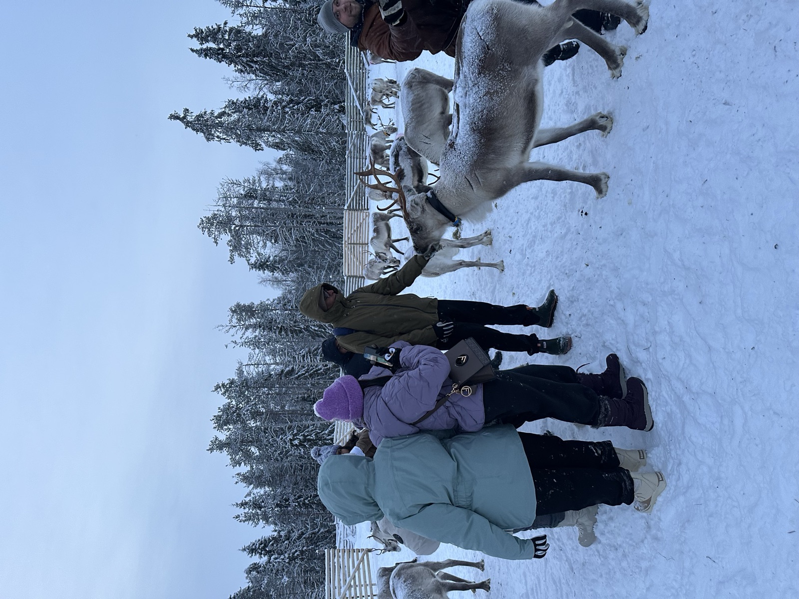 Northern Lights tour experience in Finnish Lapland — traveller photo 33