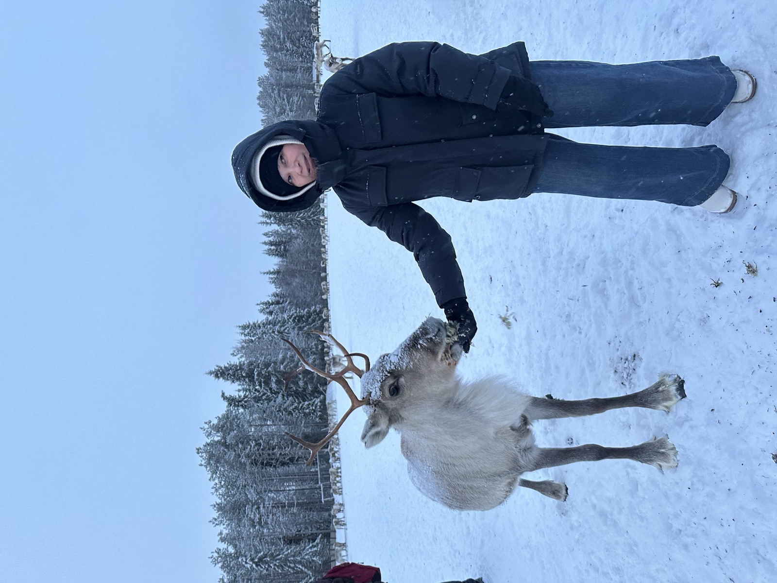 Northern Lights tour experience in Finnish Lapland — traveller photo 35