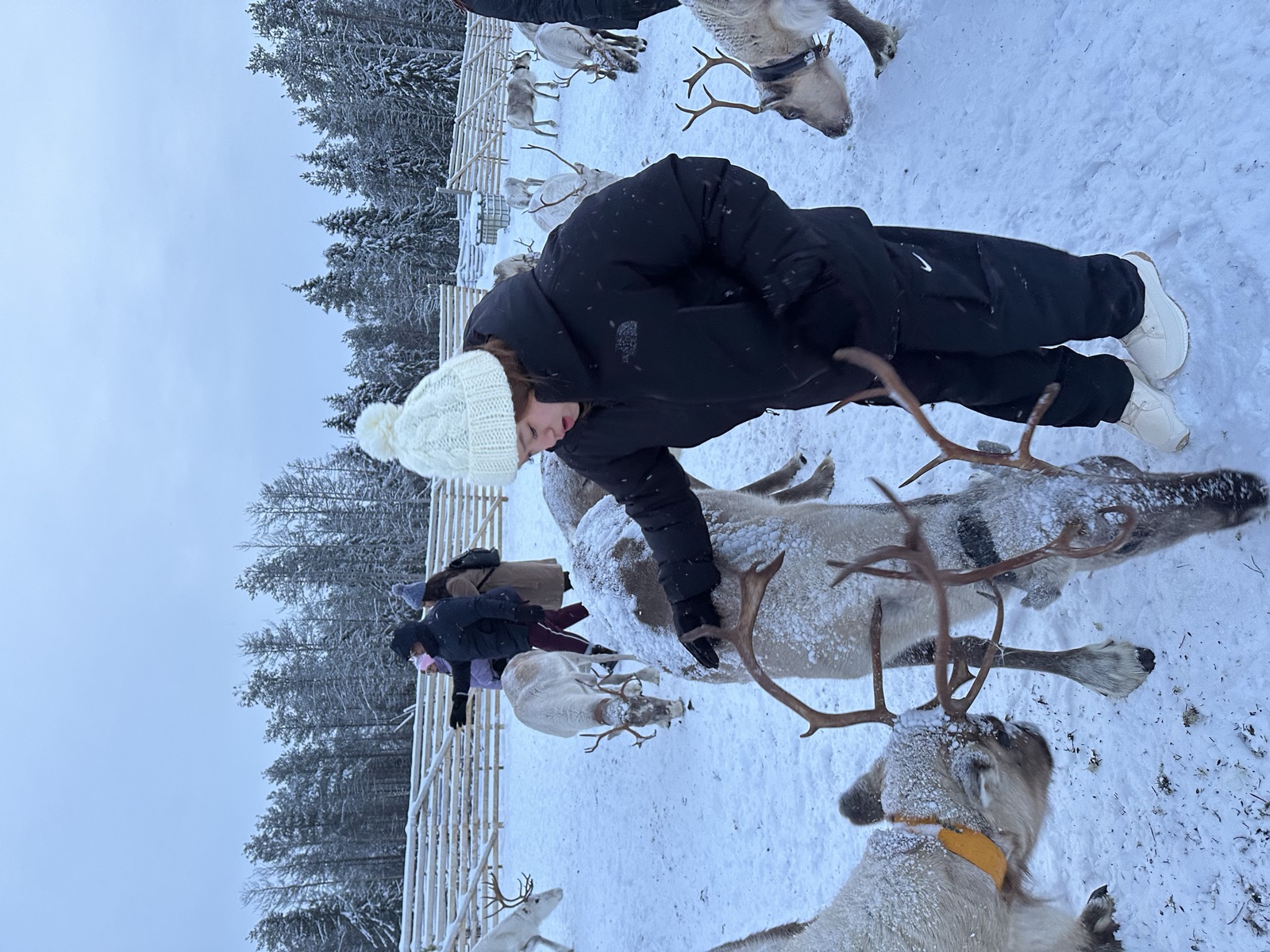 Northern Lights tour experience in Finnish Lapland — traveller photo 36