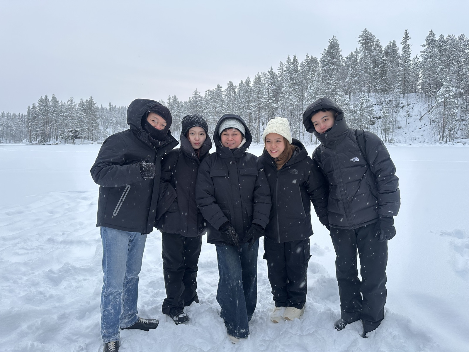 Northern Lights tour experience in Finnish Lapland — traveller photo 40