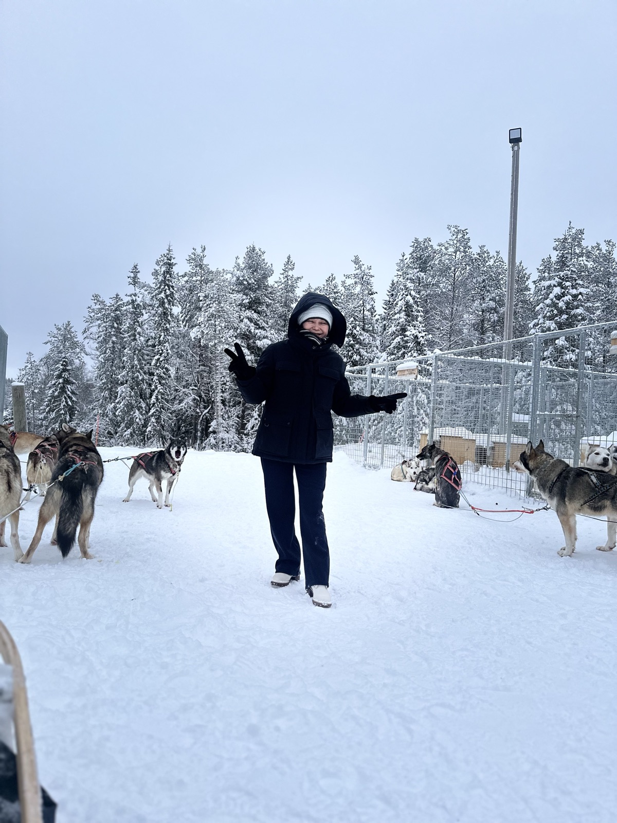 Northern Lights tour experience in Finnish Lapland — traveller photo 41