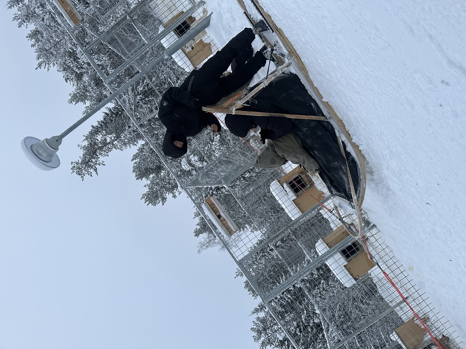 Northern Lights tour experience in Finnish Lapland — traveller photo 43