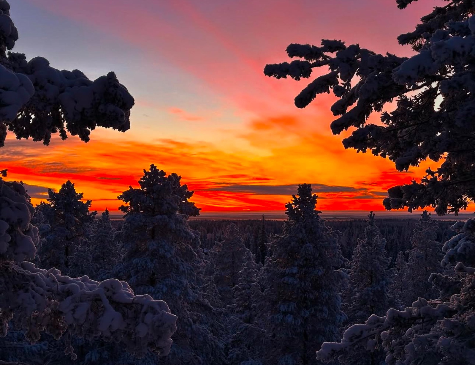 Northern Lights tour experience in Finnish Lapland — traveller photo 47