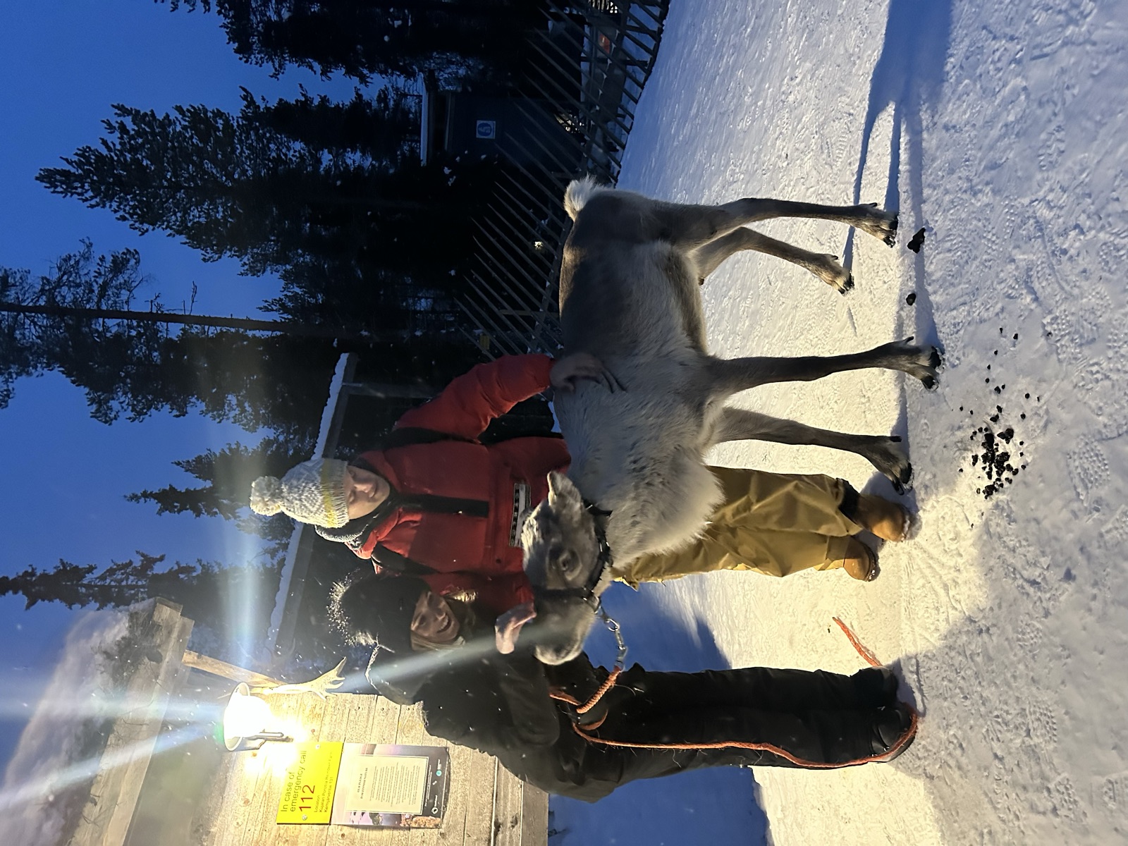 Northern Lights tour experience in Finnish Lapland — traveller photo 48