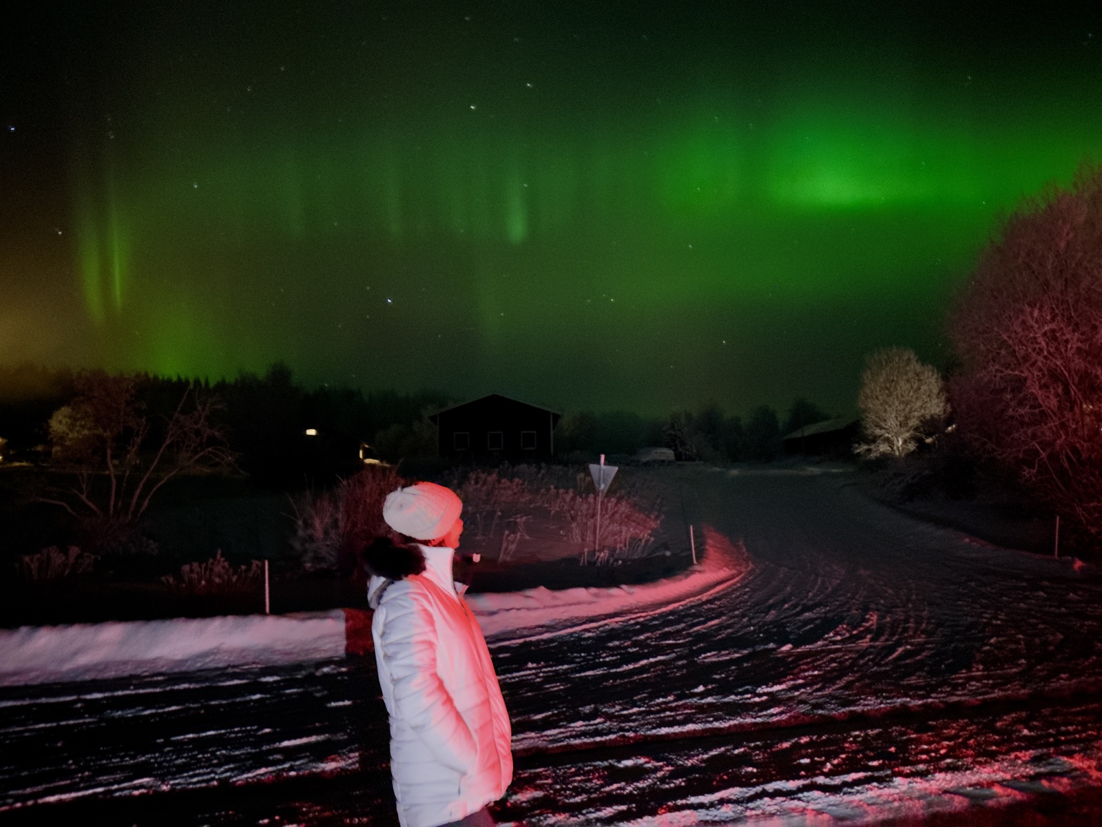 Northern Lights tour experience in Finnish Lapland — traveller photo 49