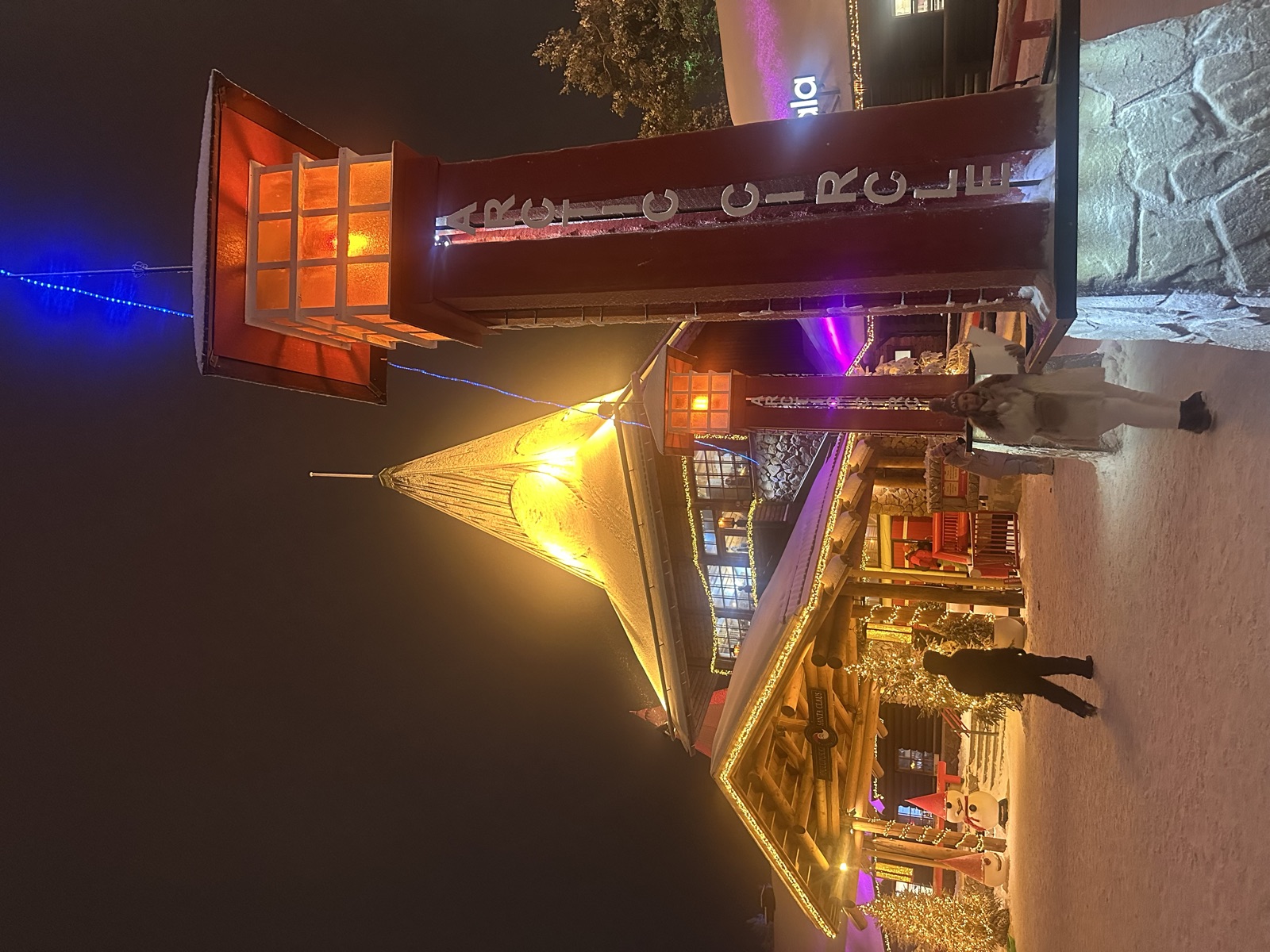 Northern Lights tour experience in Finnish Lapland — traveller photo 50