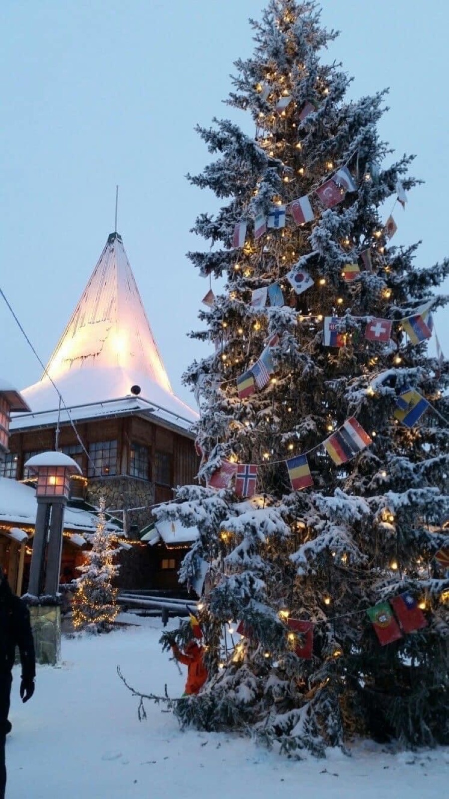 Northern Lights tour experience in Finnish Lapland — traveller photo 53