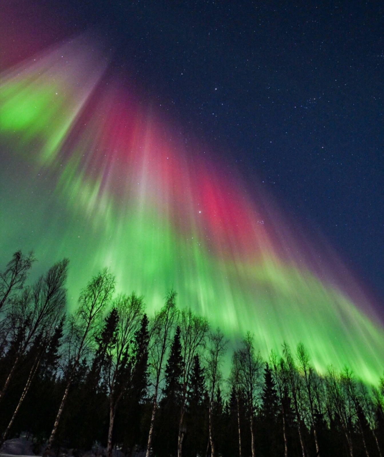 Northern Lights tour experience in Finnish Lapland — traveller photo 57