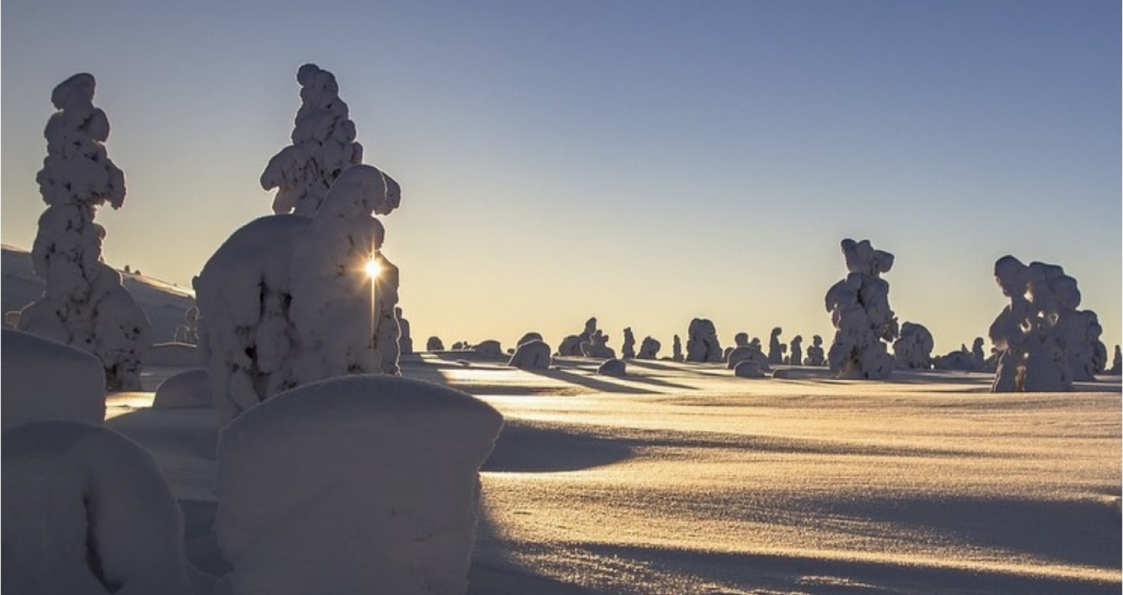 Lapland — Winter, wide open