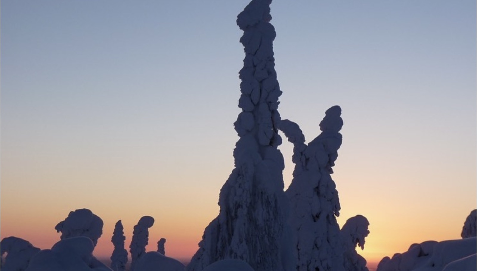 Northern Lights tour experience in Finnish Lapland — traveller photo 59