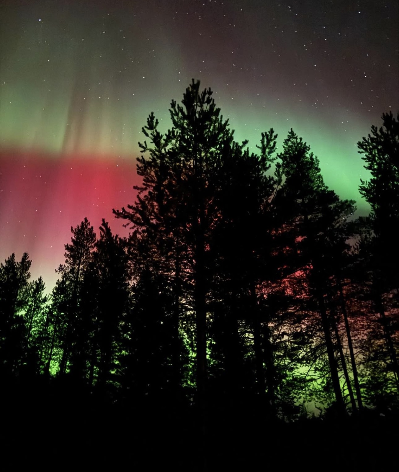 Northern Lights tour experience in Finnish Lapland — traveller photo 61