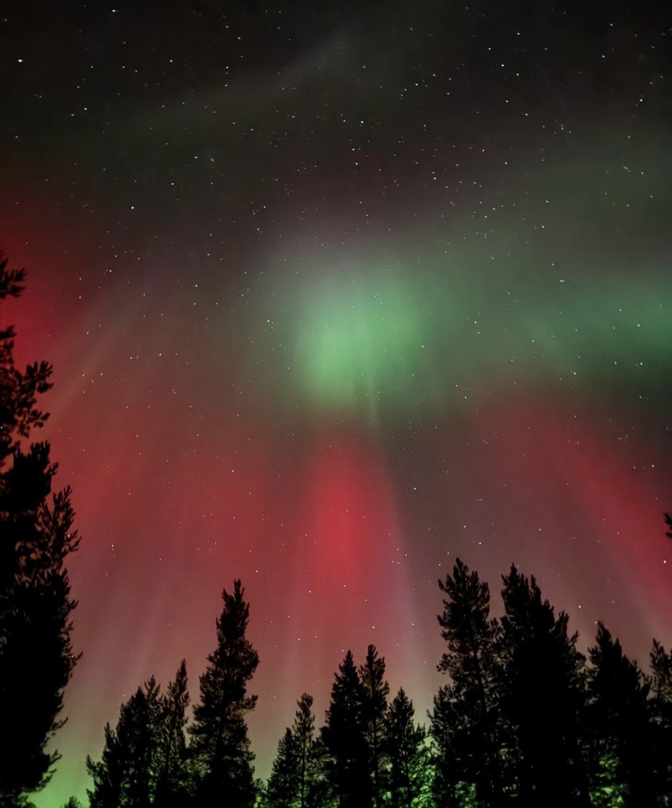 Northern Lights tour experience in Finnish Lapland — traveller photo 62