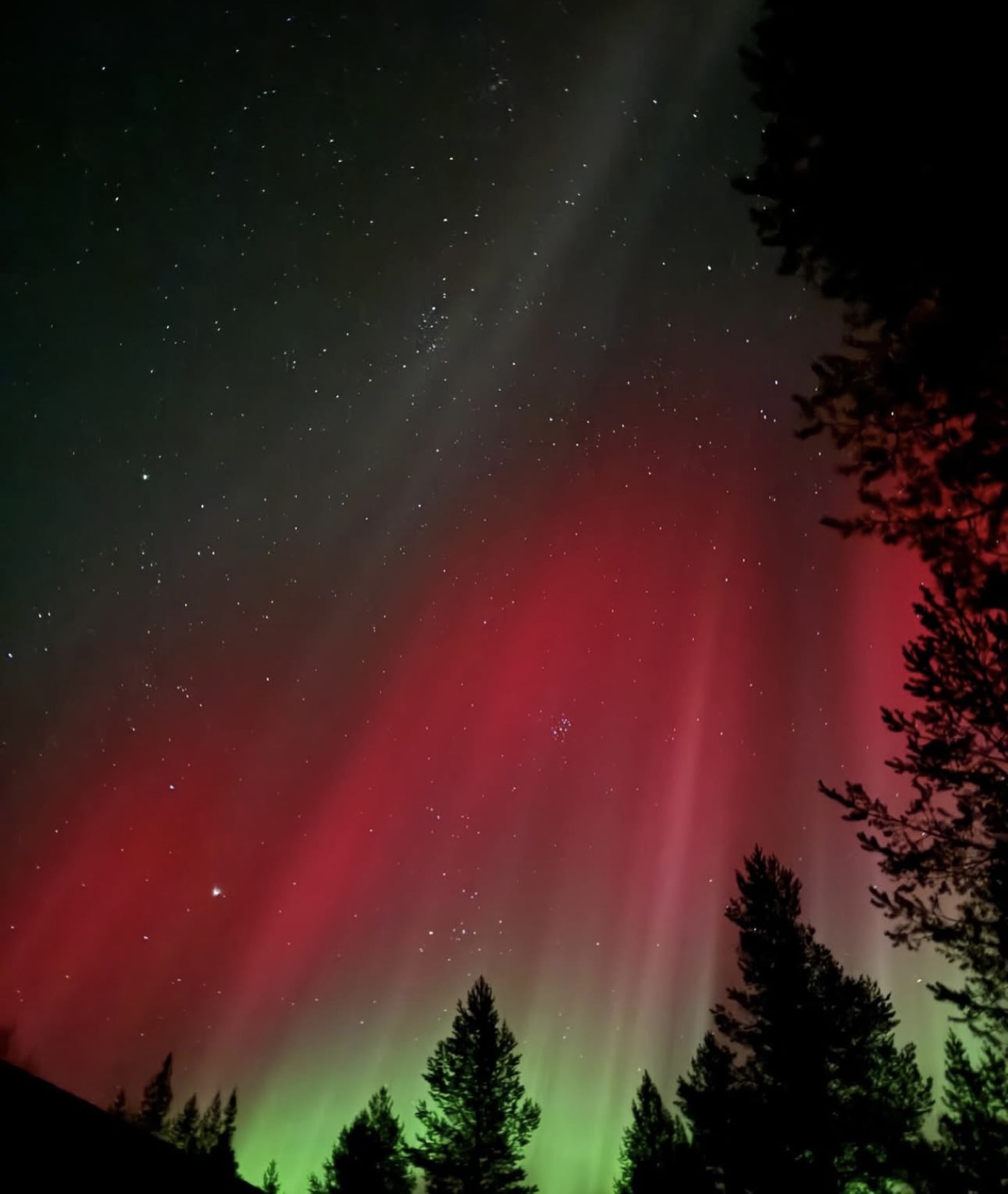 Northern Lights tour experience in Finnish Lapland — traveller photo 63