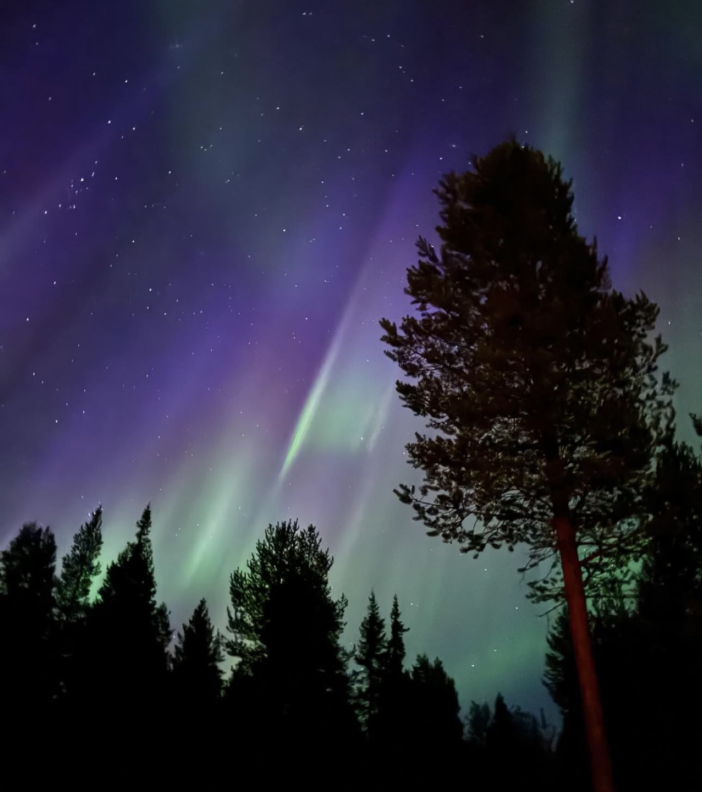 Northern Lights and Lapland photo 4