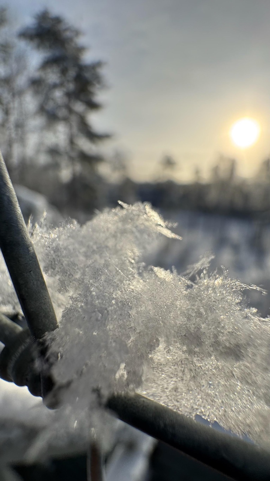 Northern Lights tour experience in Finnish Lapland — traveller photo 70