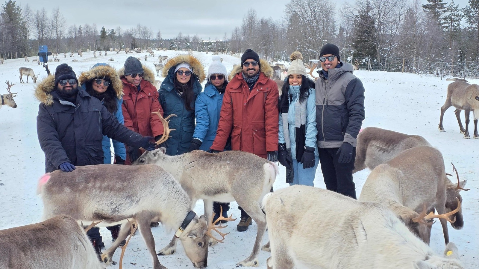 Northern Lights tour experience in Finnish Lapland — traveller photo 71