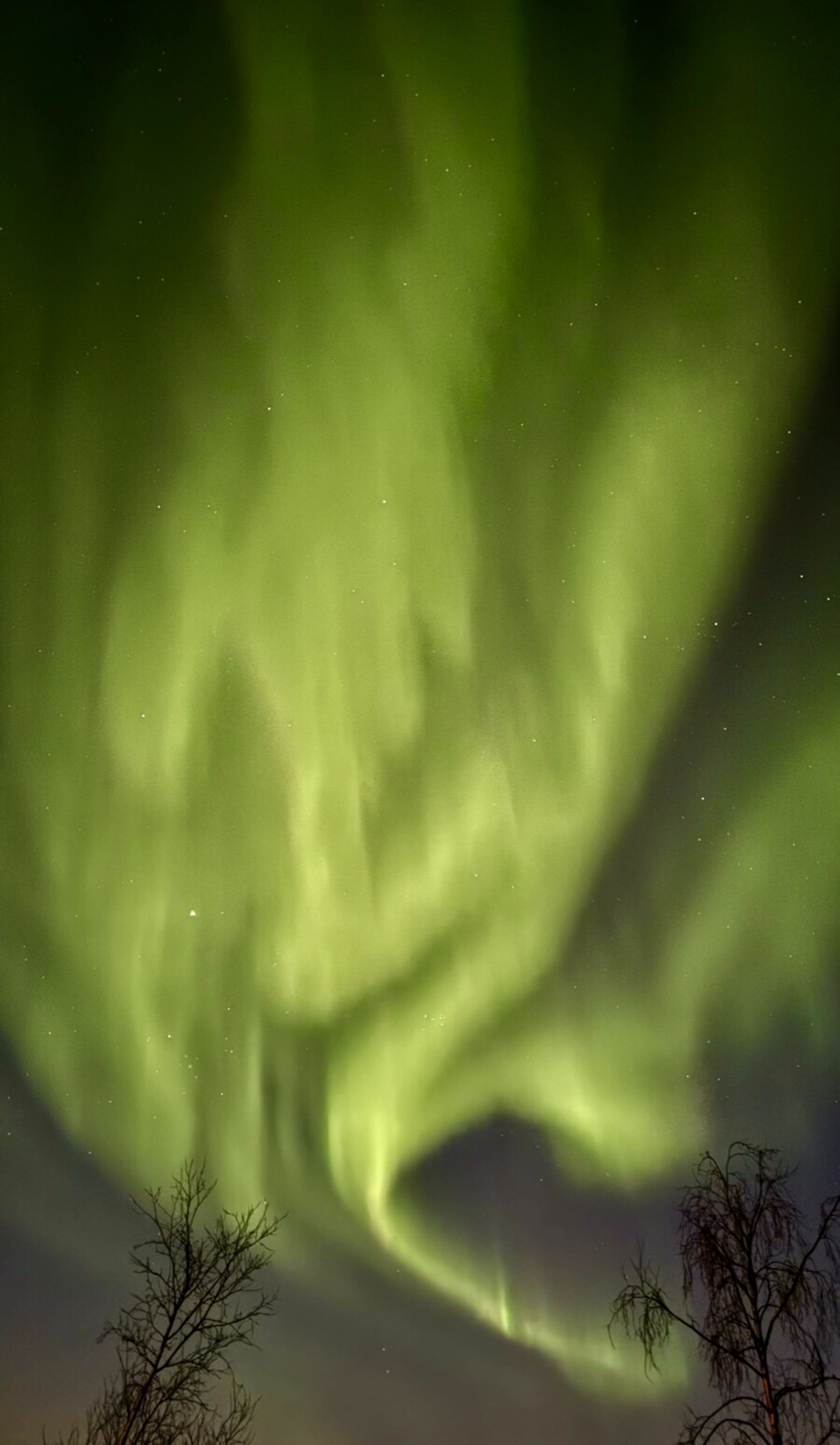 Northern Lights tour experience in Finnish Lapland — traveller photo 77