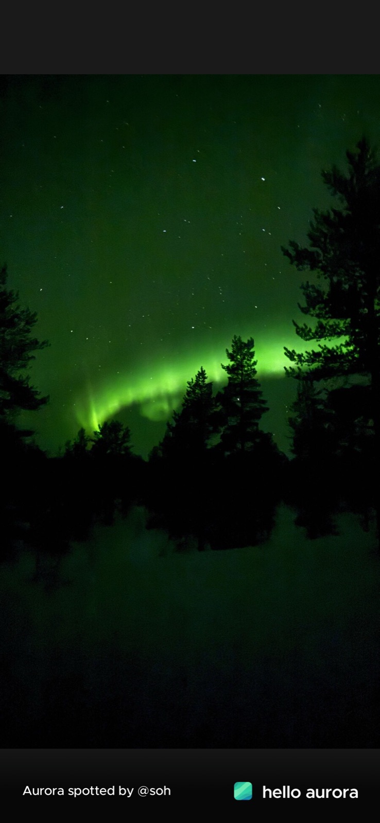 Northern Lights tour experience in Finnish Lapland — traveller photo 83