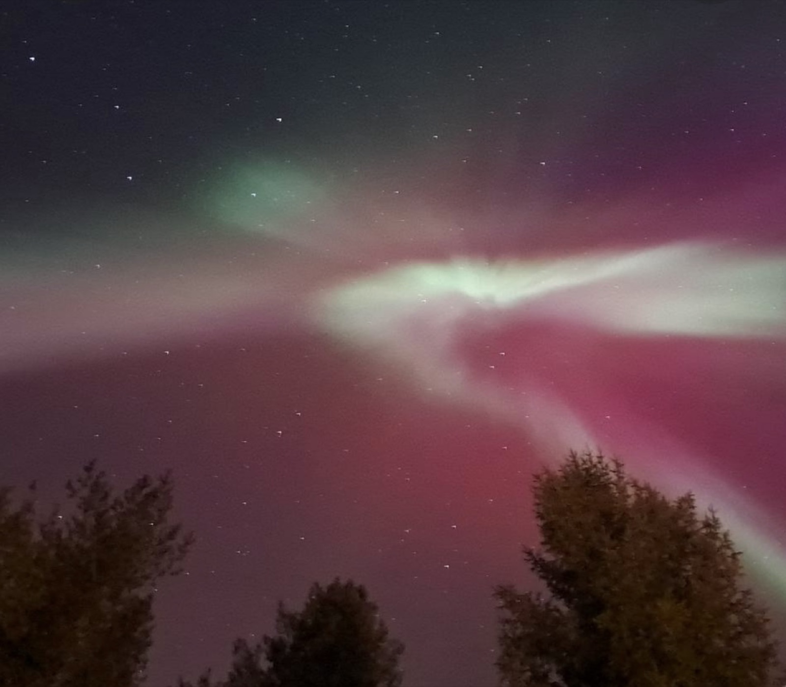 Northern Lights tour experience in Finnish Lapland — traveller photo 88