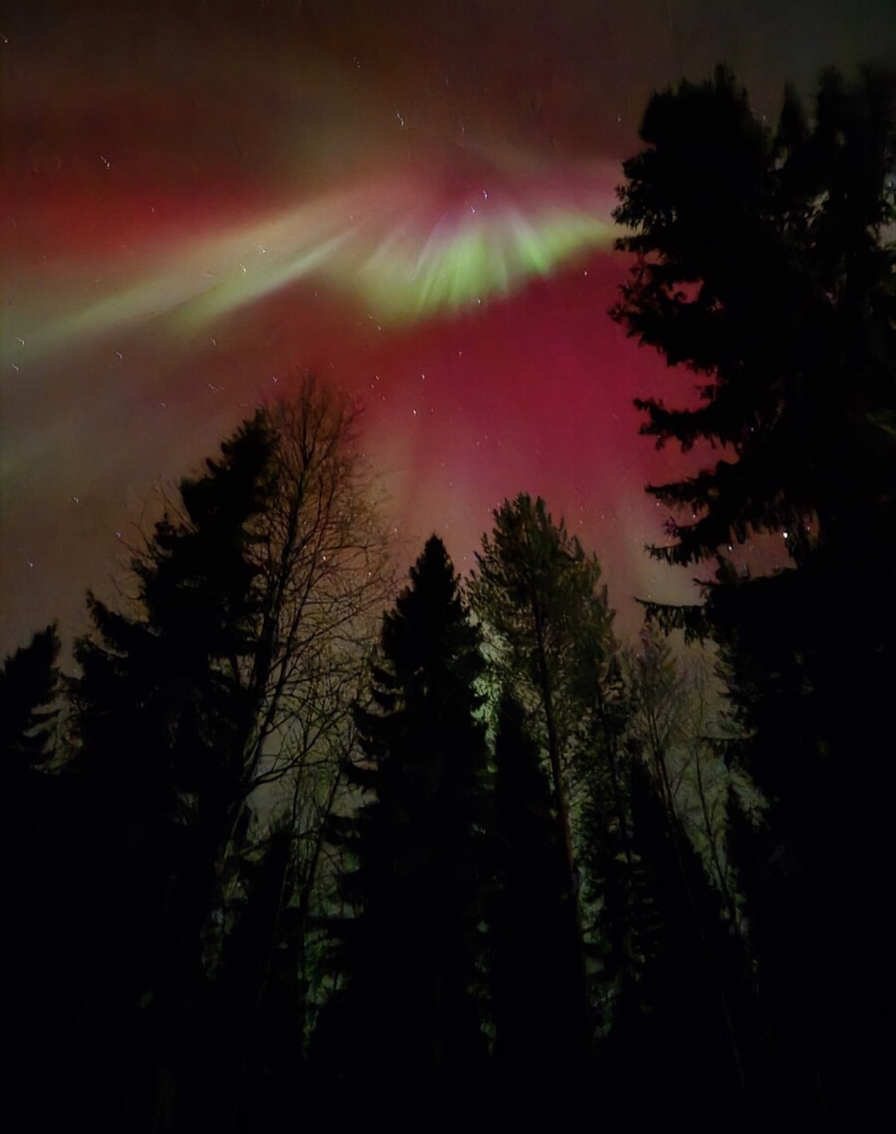 Northern Lights tour experience in Finnish Lapland — traveller photo 89
