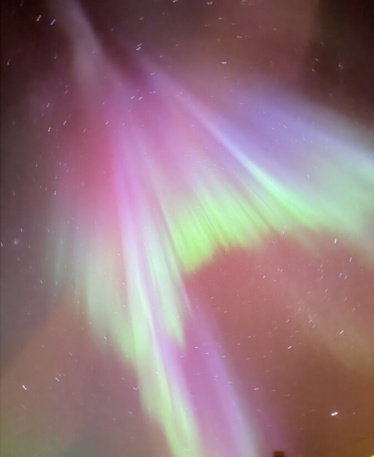 Northern Lights tour experience in Finnish Lapland — traveller photo 93