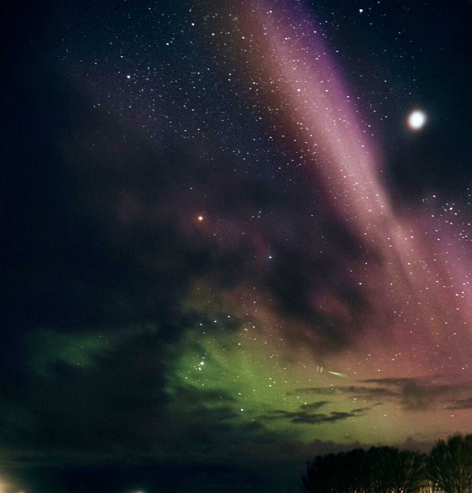 Northern Lights tour experience in Finnish Lapland — traveller photo 94