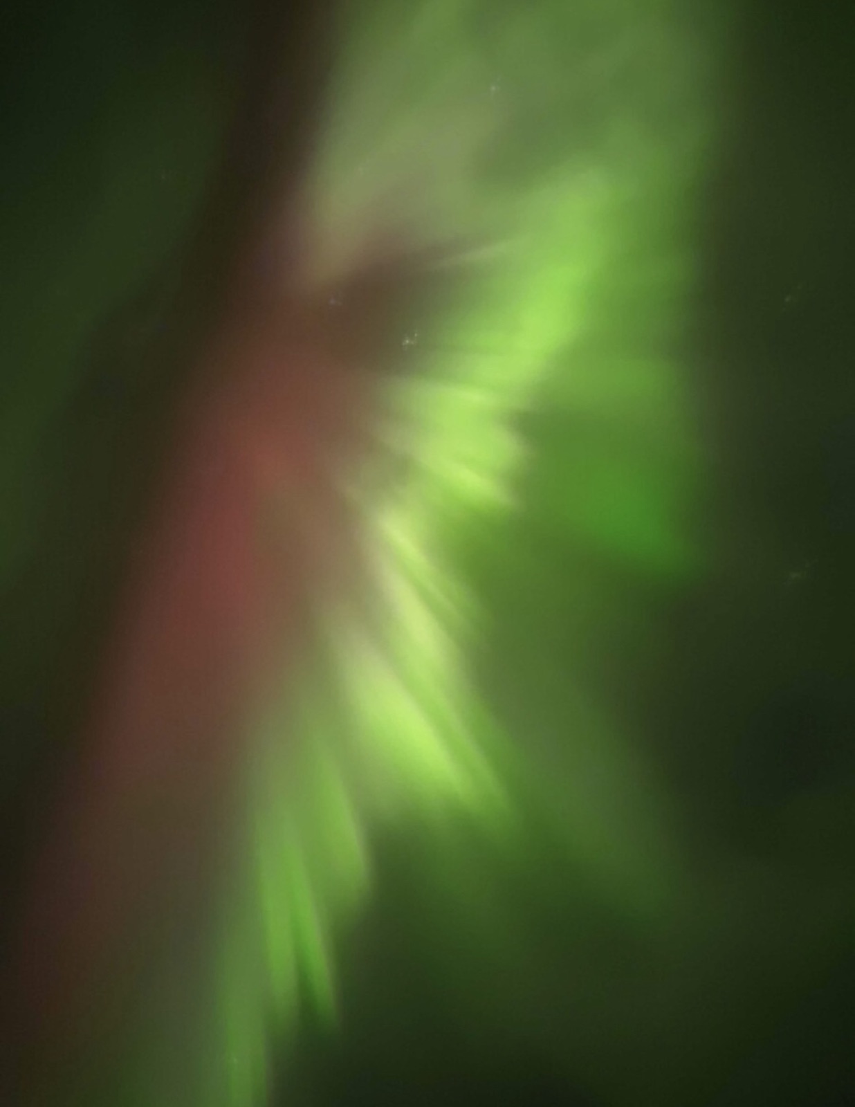 Northern Lights tour experience in Finnish Lapland — traveller photo 98