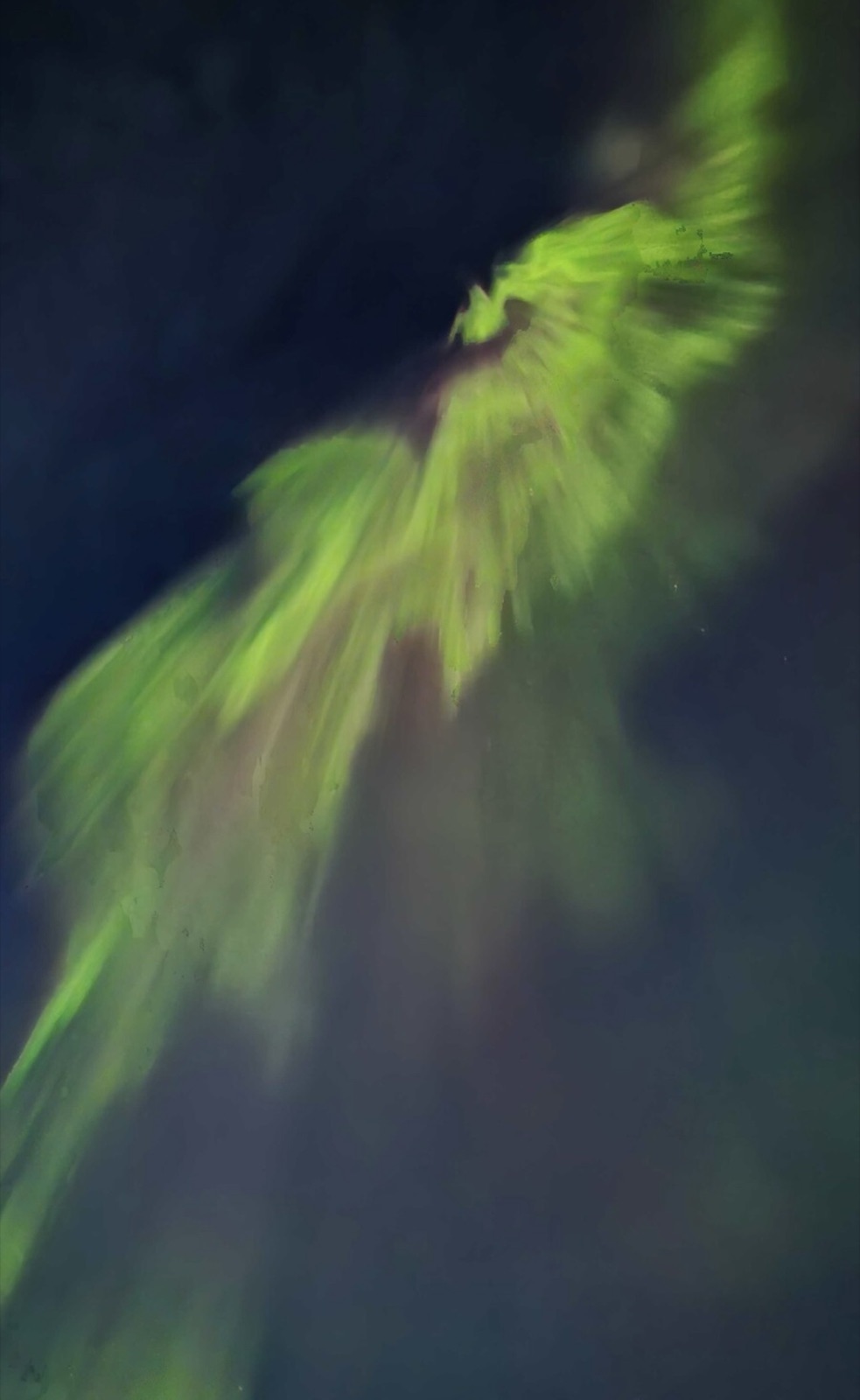 Northern Lights tour experience in Finnish Lapland — traveller photo 100
