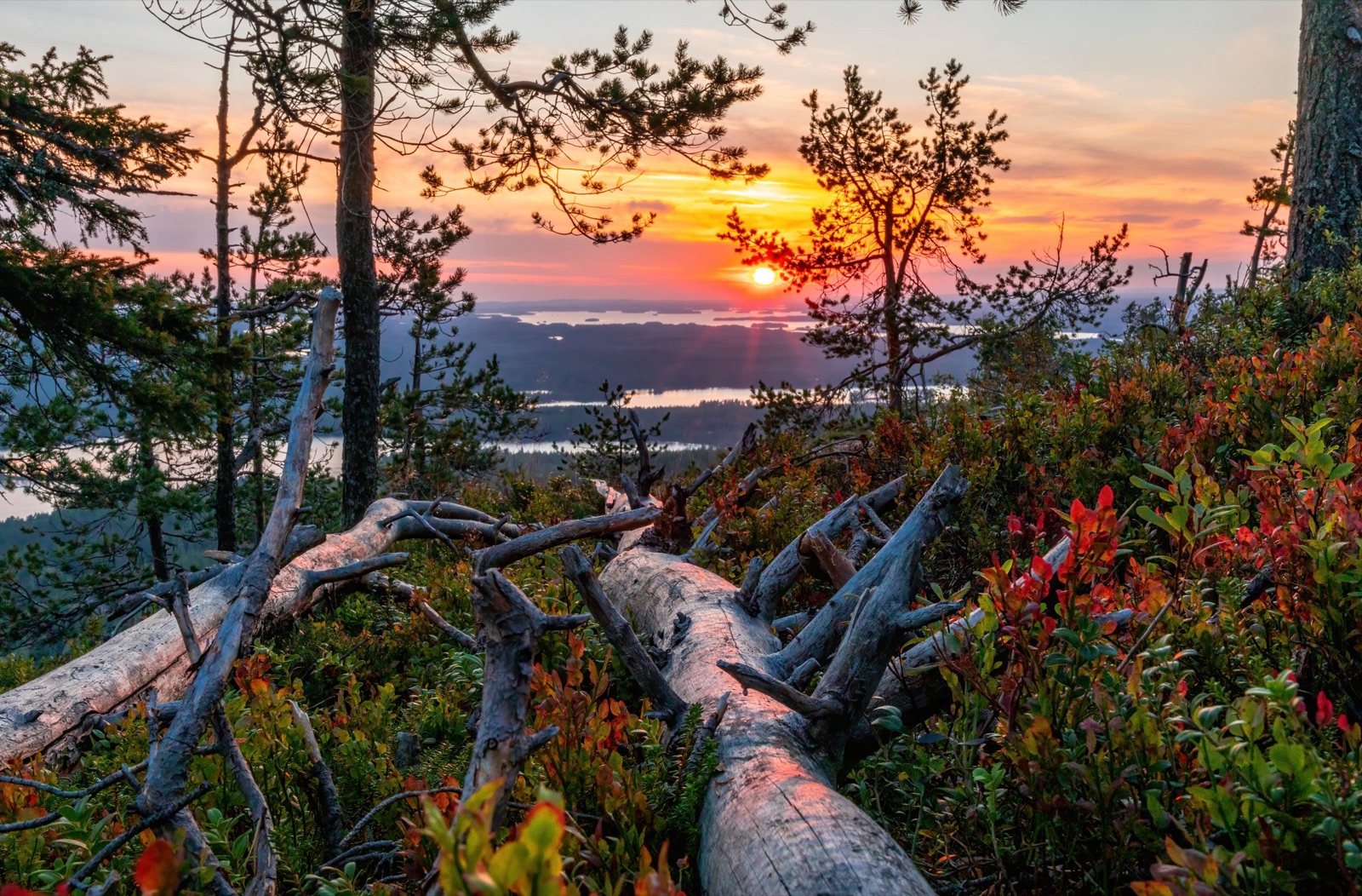 Northern Lights tour experience in Finnish Lapland — traveller photo 101