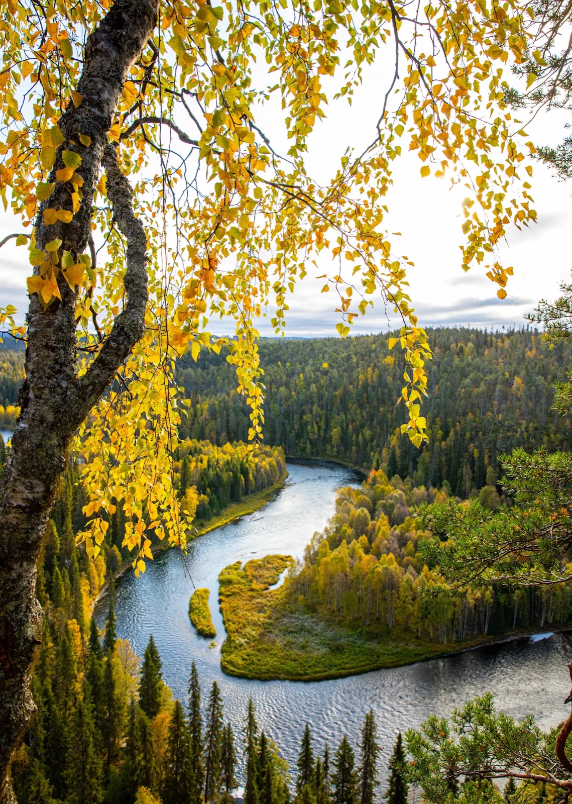 Northern Lights tour experience in Finnish Lapland — traveller photo 102