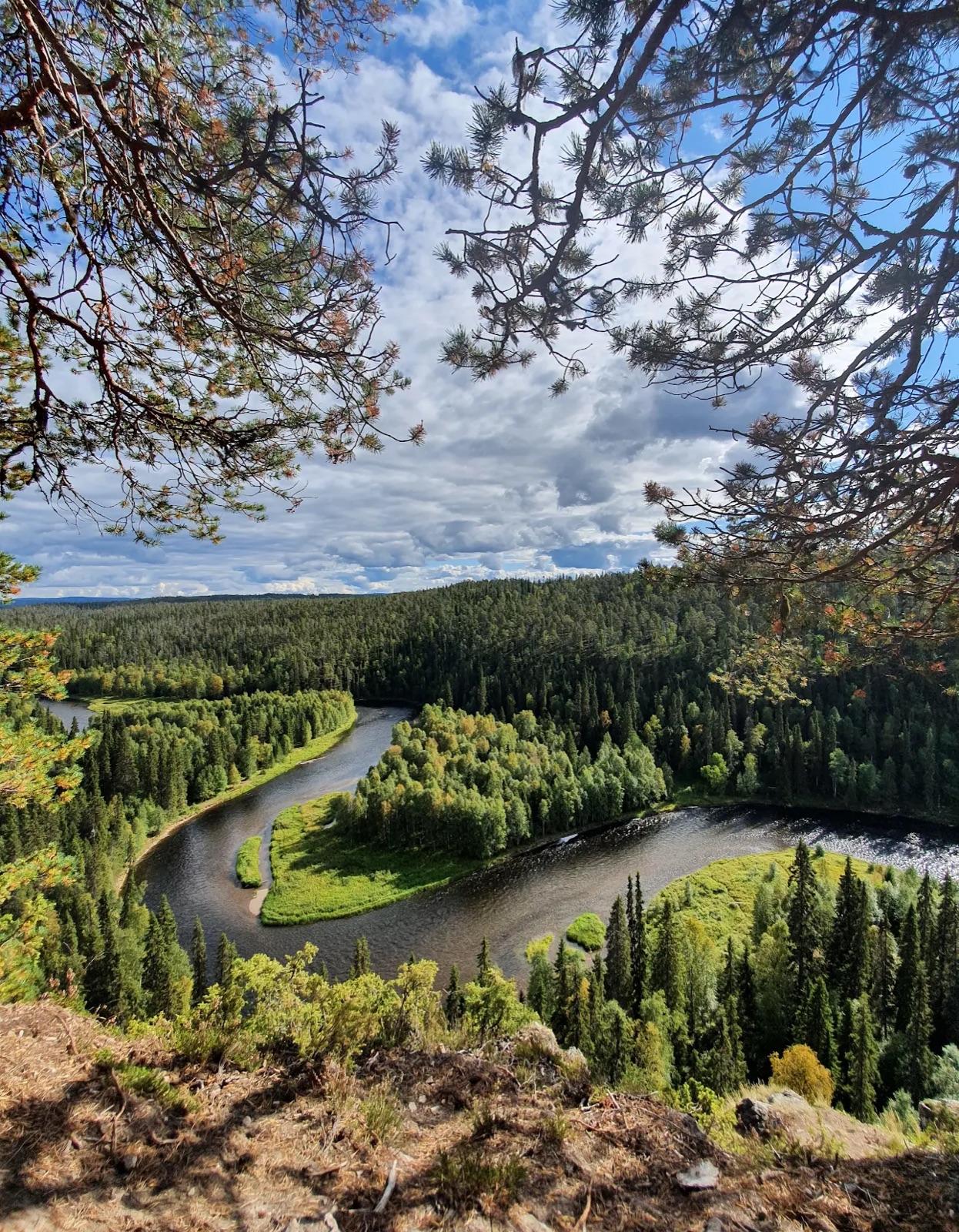 Northern Lights tour experience in Finnish Lapland — traveller photo 103