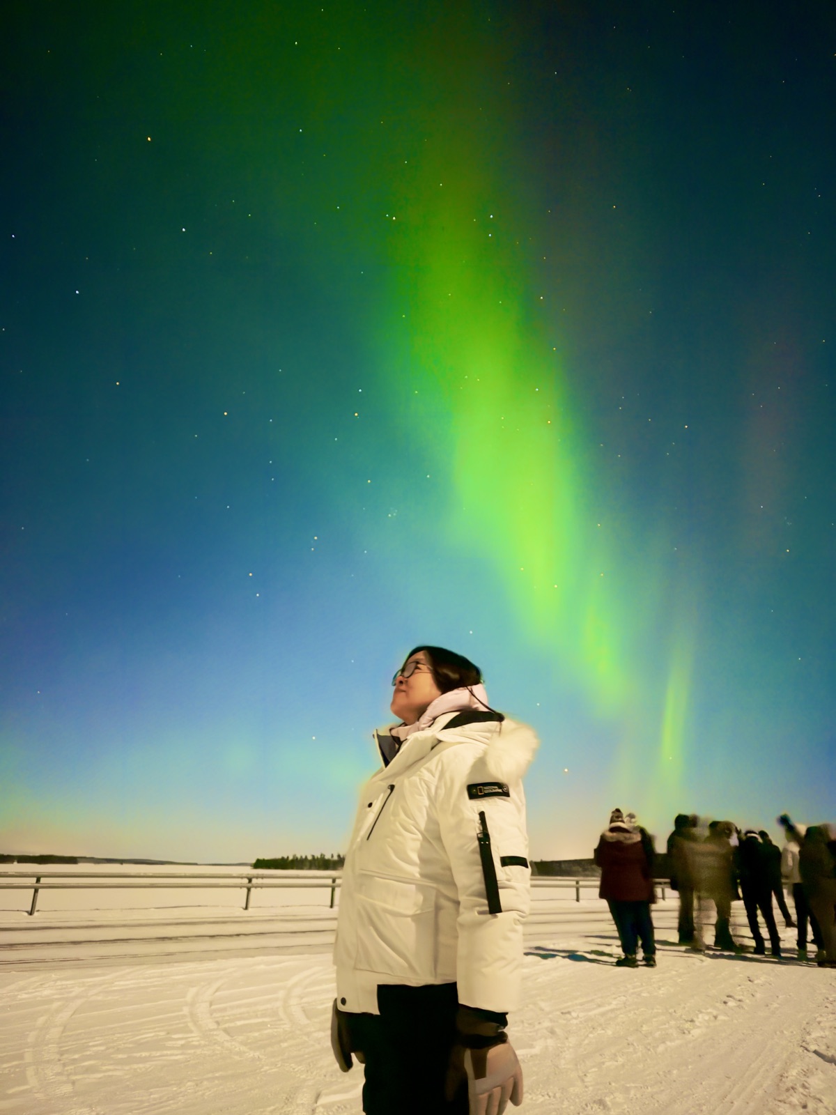 Northern Lights tour experience in Finnish Lapland — traveller photo 113