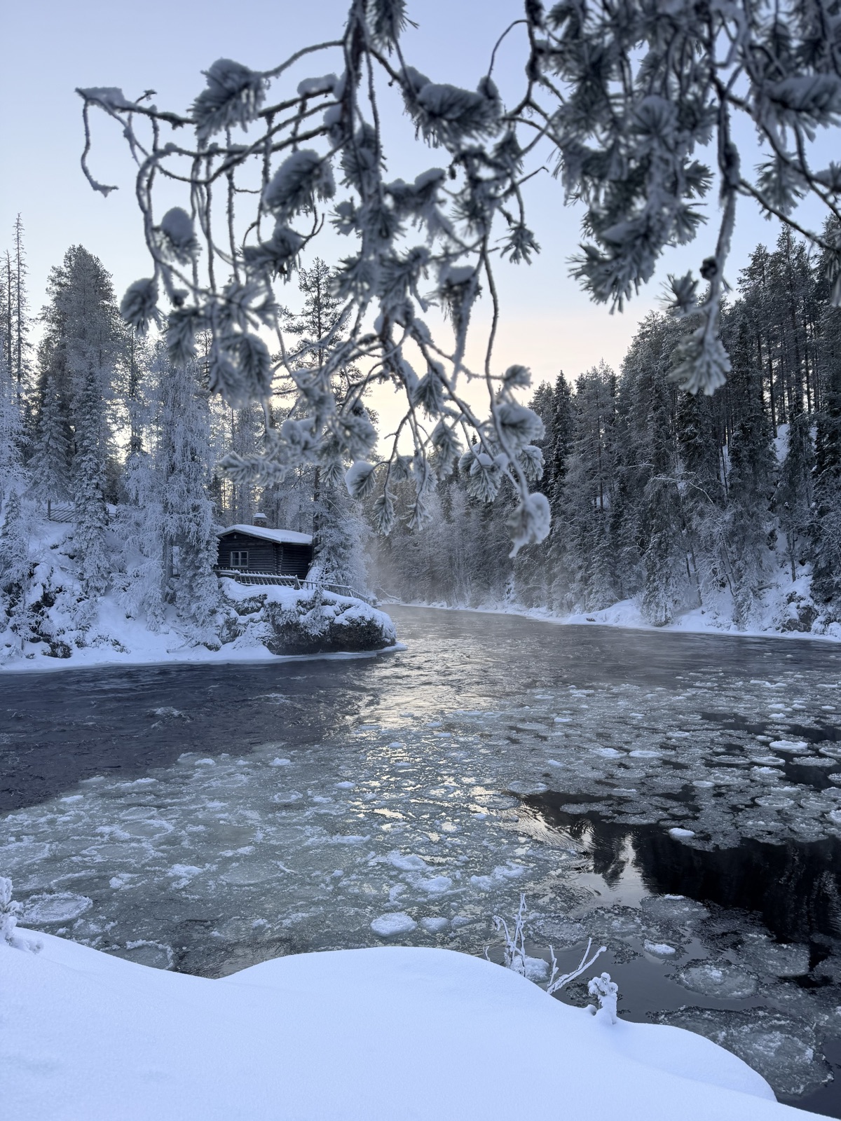 Northern Lights tour experience in Finnish Lapland — traveller photo 117