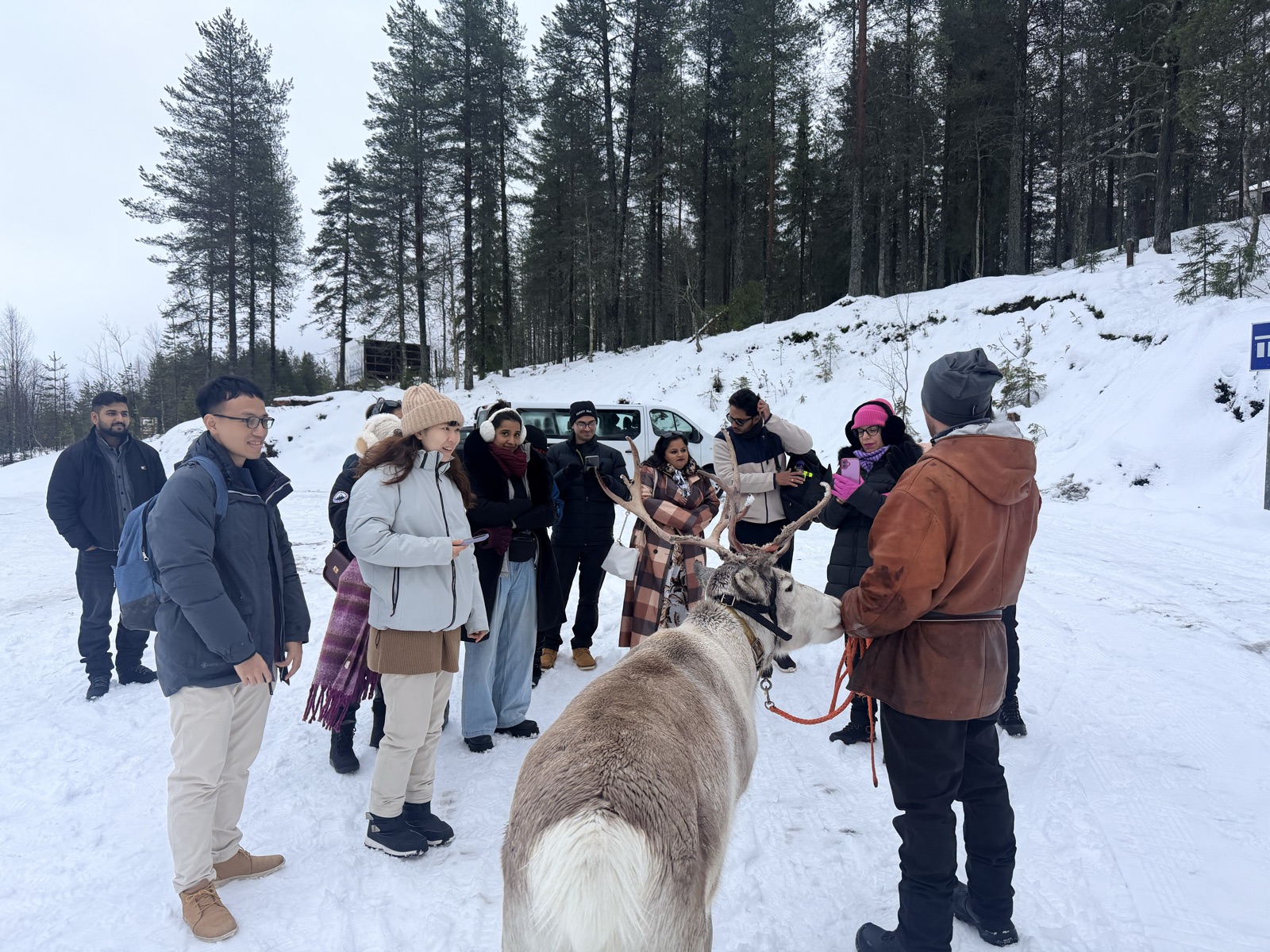 Northern Lights tour experience in Finnish Lapland — traveller photo 120
