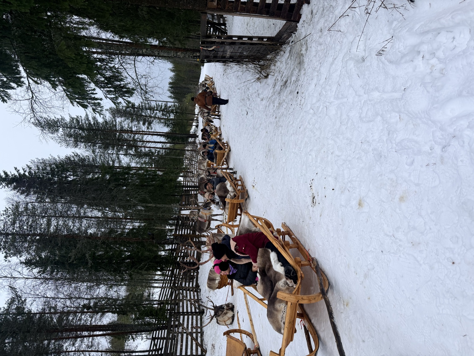 Northern Lights tour experience in Finnish Lapland — traveller photo 121
