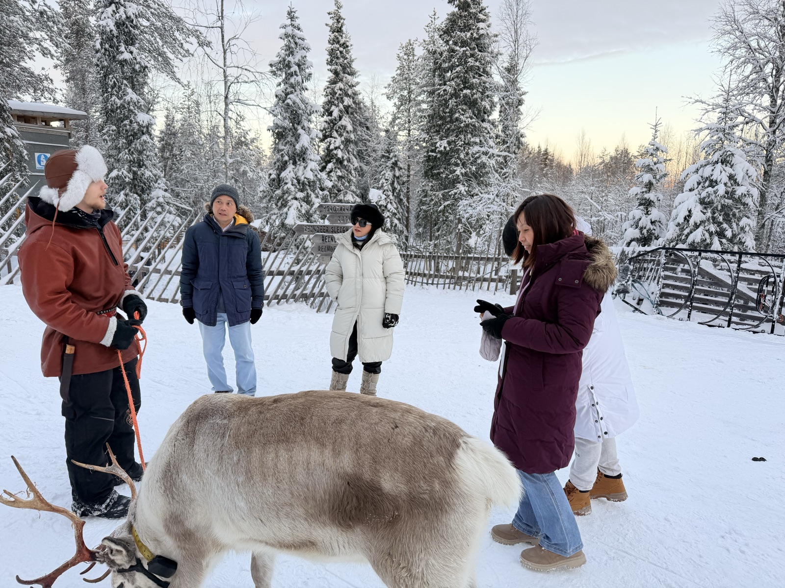 Northern Lights tour experience in Finnish Lapland — traveller photo 122