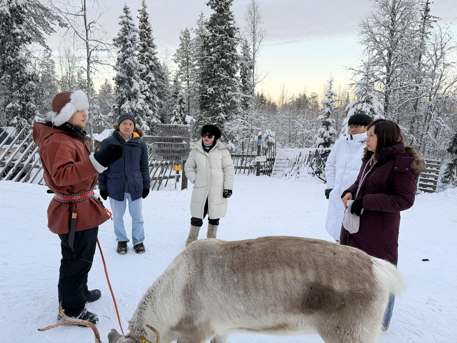 Northern Lights tour experience in Finnish Lapland — traveller photo 123