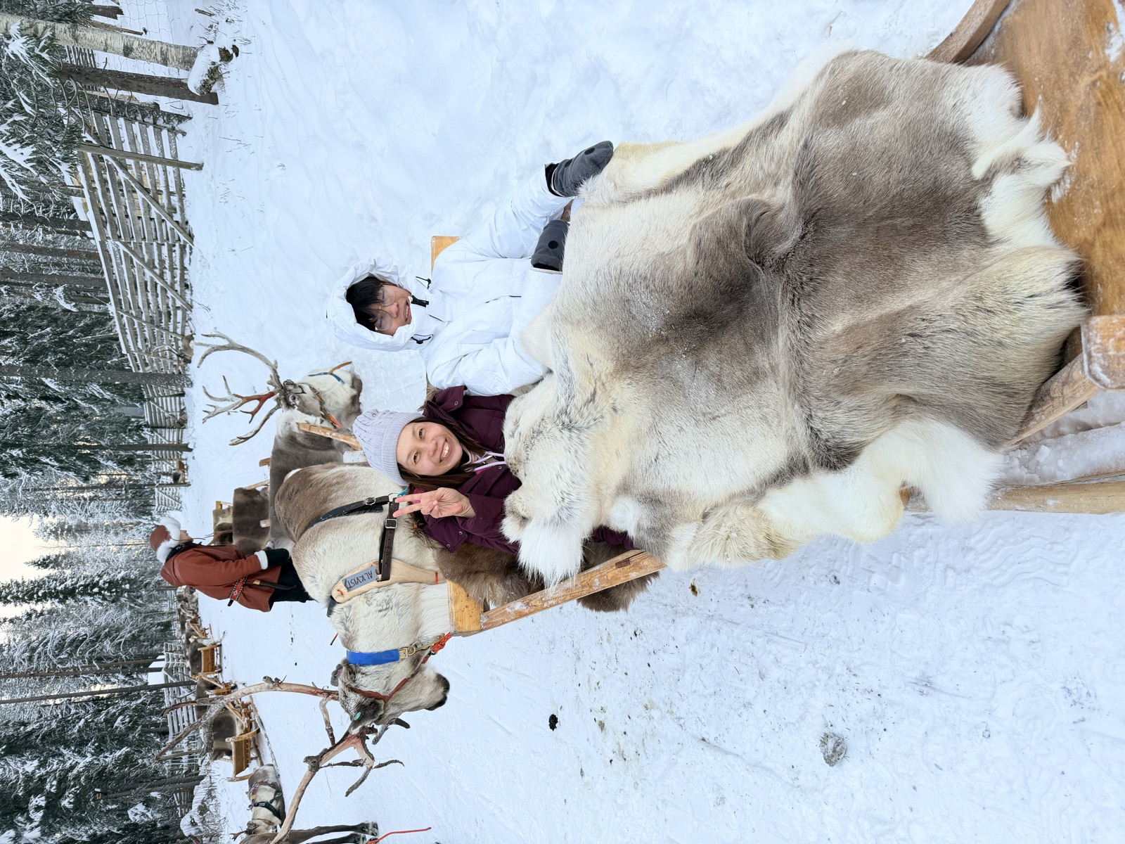 Northern Lights tour experience in Finnish Lapland — traveller photo 124