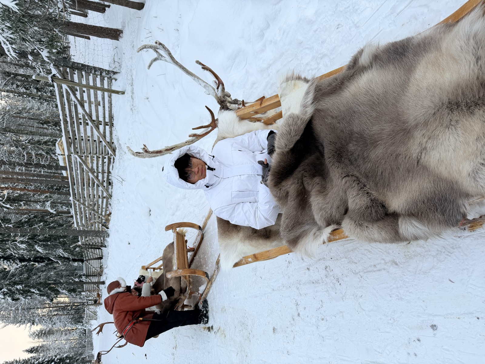 Northern Lights tour experience in Finnish Lapland — traveller photo 126