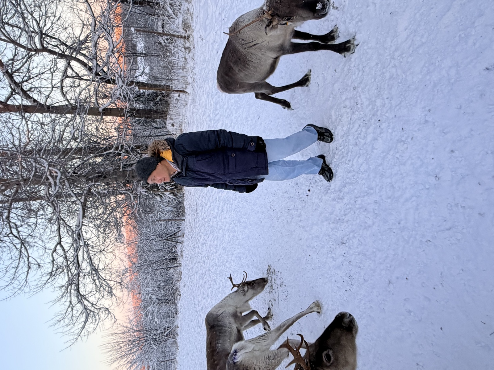 Northern Lights tour experience in Finnish Lapland — traveller photo 132